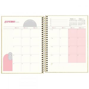 Planner 2025 Cambridge Shine Espiral M7 Tilibra