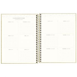 Planner 2025 Cambridge Shine Espiral M7 Tilibra