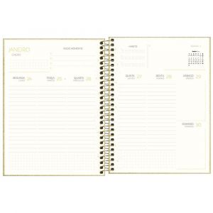 Planner 2025 Cambridge Shine Espiral M7 Tilibra