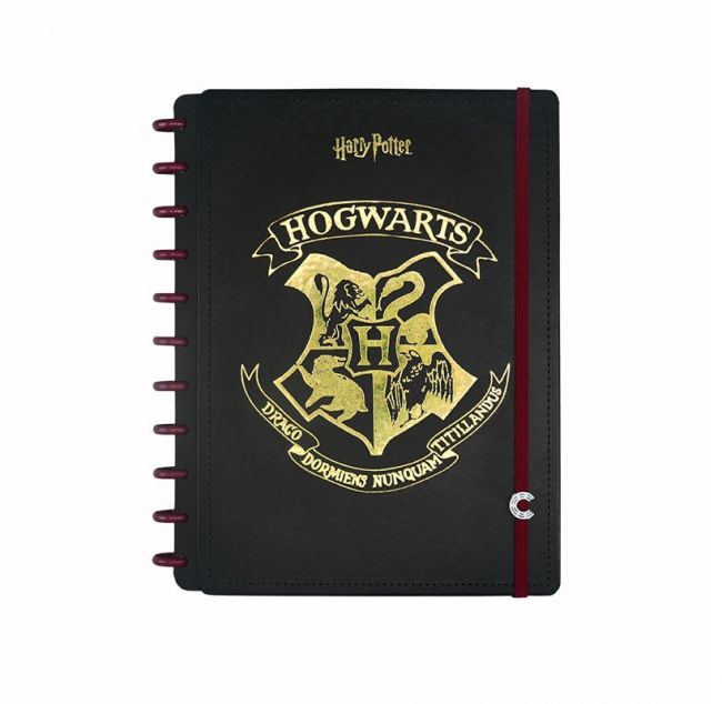 Caderno Inteligente Universitario 10m Harry Potter 